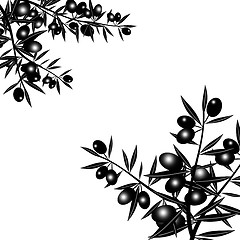 Image showing Silhouette of black olive branch 