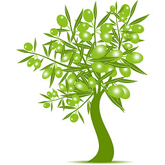 Image showing  Green Olive Tree 