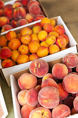 Image showing Fruit for sale