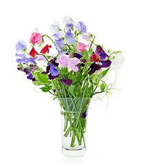 Image showing Bouquet of sweet pea flowers in vase