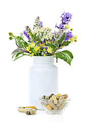 Image showing Herbal medicine and plants