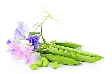 Image showing Pods of peas and sweet pea flowers