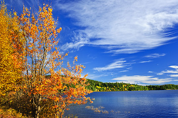 Image showing Fall forest and lake