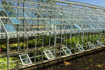 Image showing Greenhouse