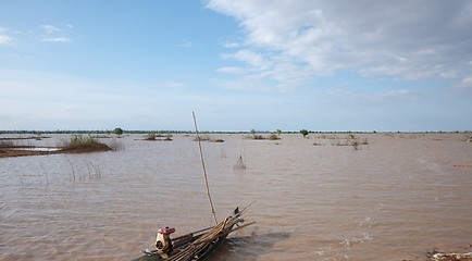 Image showing Flooded rice fields in Cambodia