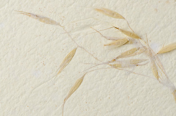 Image showing Recycled paper texture 