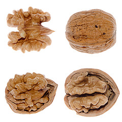 Image showing Walnuts in closeup 