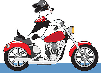 Image showing Dog Motorcycle