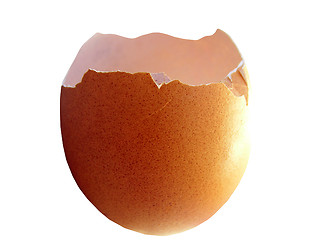 Image showing Egg Shell