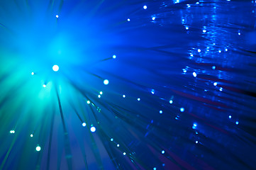 Image showing Optical fibers