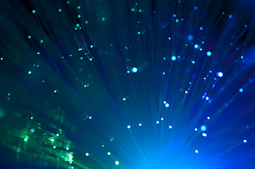 Image showing Optical fibers