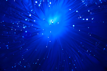 Image showing Optical fibers