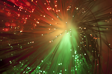 Image showing Optical fibers