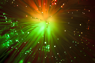 Image showing Optical fibers