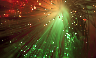 Image showing Optical fibers