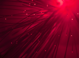 Image showing Optical fibers