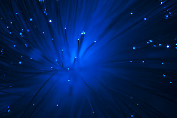 Image showing Optical fibers