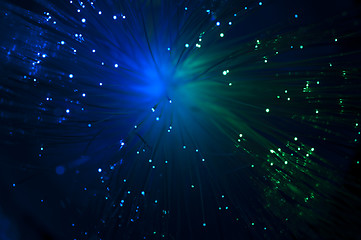 Image showing Optical fibers