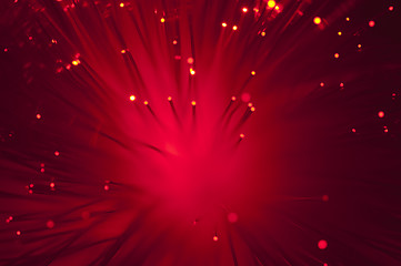 Image showing Optical fibers