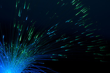 Image showing Optical fibers