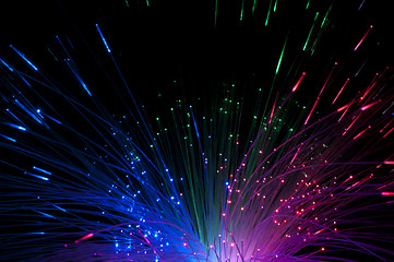 Image showing Optical fibers