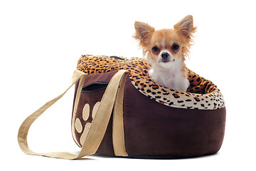 Image showing travel bag and chihuahua