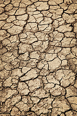 Image showing Dry cracked ground during drought