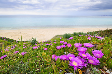 Image showing Aegean sea coast in Greece