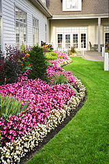 Image showing Colorful flower garden