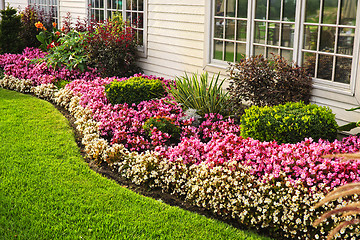 Image showing Colorful flower garden