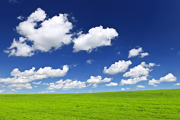 Image showing Green rolling hills under blue sky