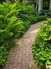 Image showing Brick path in landscaped garden