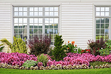 Image showing Colorful flower garden