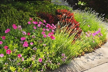 Image showing Lush garden at home