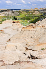 Image showing Badlands in Alberta, Canada