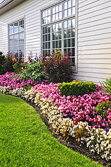 Image showing Colorful flower garden