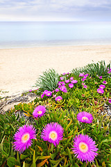 Image showing Aegean sea coast in Greece