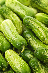 Image showing Cucumbers background