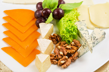 Image showing cheese