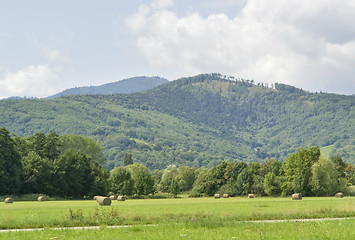 Image showing Alsace scenery at summer time