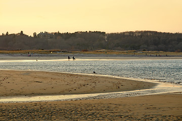 Image showing idyllic Crane Beach scenery