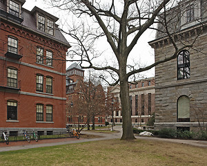 Image showing Harvard Yard in Cambridge