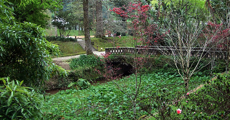 Image showing idyllic park scenery