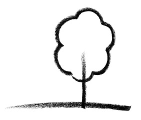 Image showing deciduous tree sketch