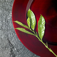 Image showing round red plate and green twig