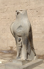 Image showing Horus statue at the Temple of Edfu in Egypt
