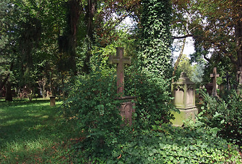 Image showing old graveyard in Freiburg