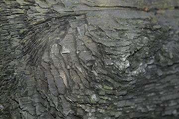 Image showing charred wood detail