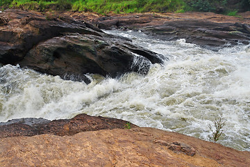 Image showing whitewater at the Murchison Falls