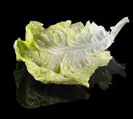 Image showing fresh green lettuce leaf